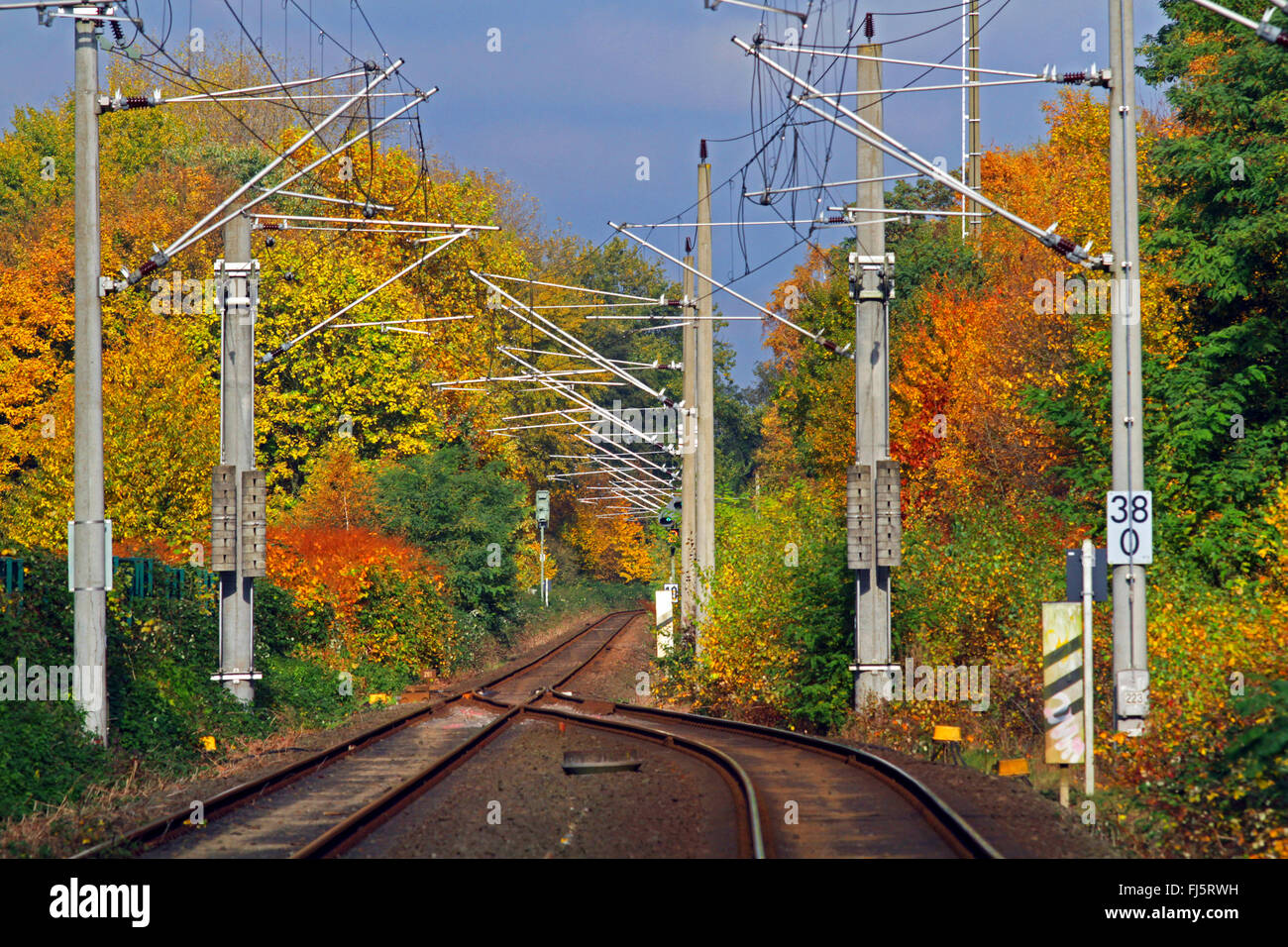 A rapida di transito della linea ferroviaria in autunno, Germania Foto Stock