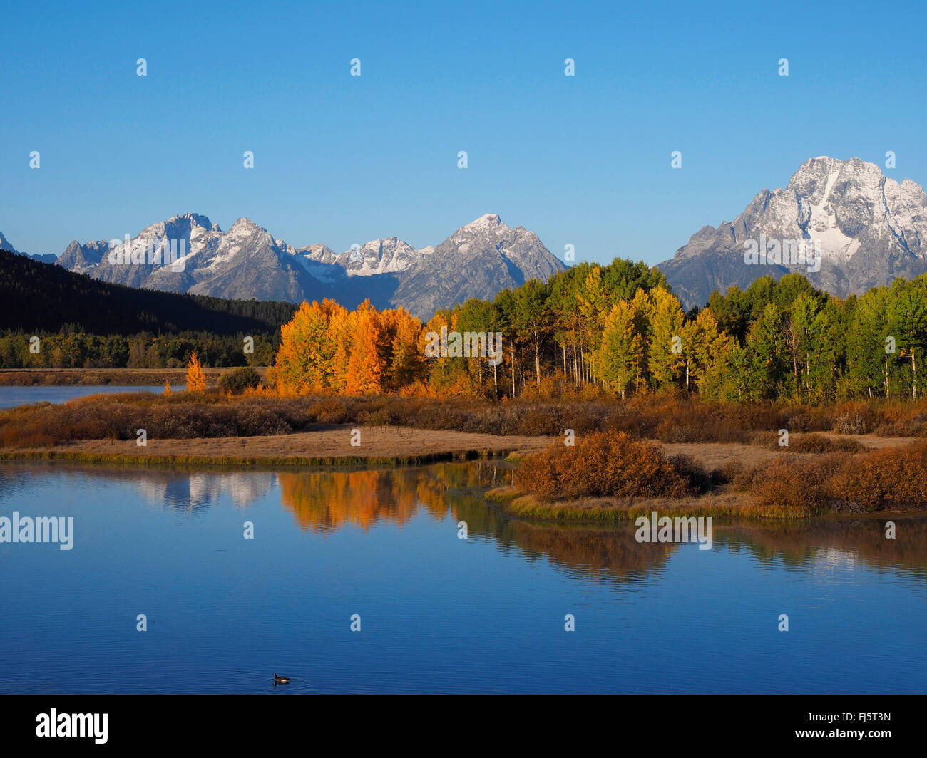 Autunno umore alla lanca di piegare con Mt. Moran in background, STATI UNITI D'AMERICA, Wyoming Grand Teton National Park Foto Stock