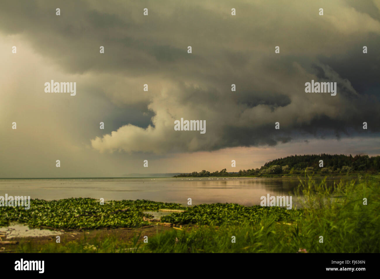 Le difficili condizioni atmosferiche con heavy rain presso il lago di Chiemsee, in Germania, in Baviera, il Lago Chiemsee Foto Stock