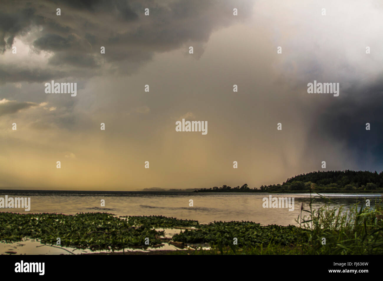 Le difficili condizioni atmosferiche con heavy rain presso il lago di Chiemsee, in Germania, in Baviera, il Lago Chiemsee Foto Stock