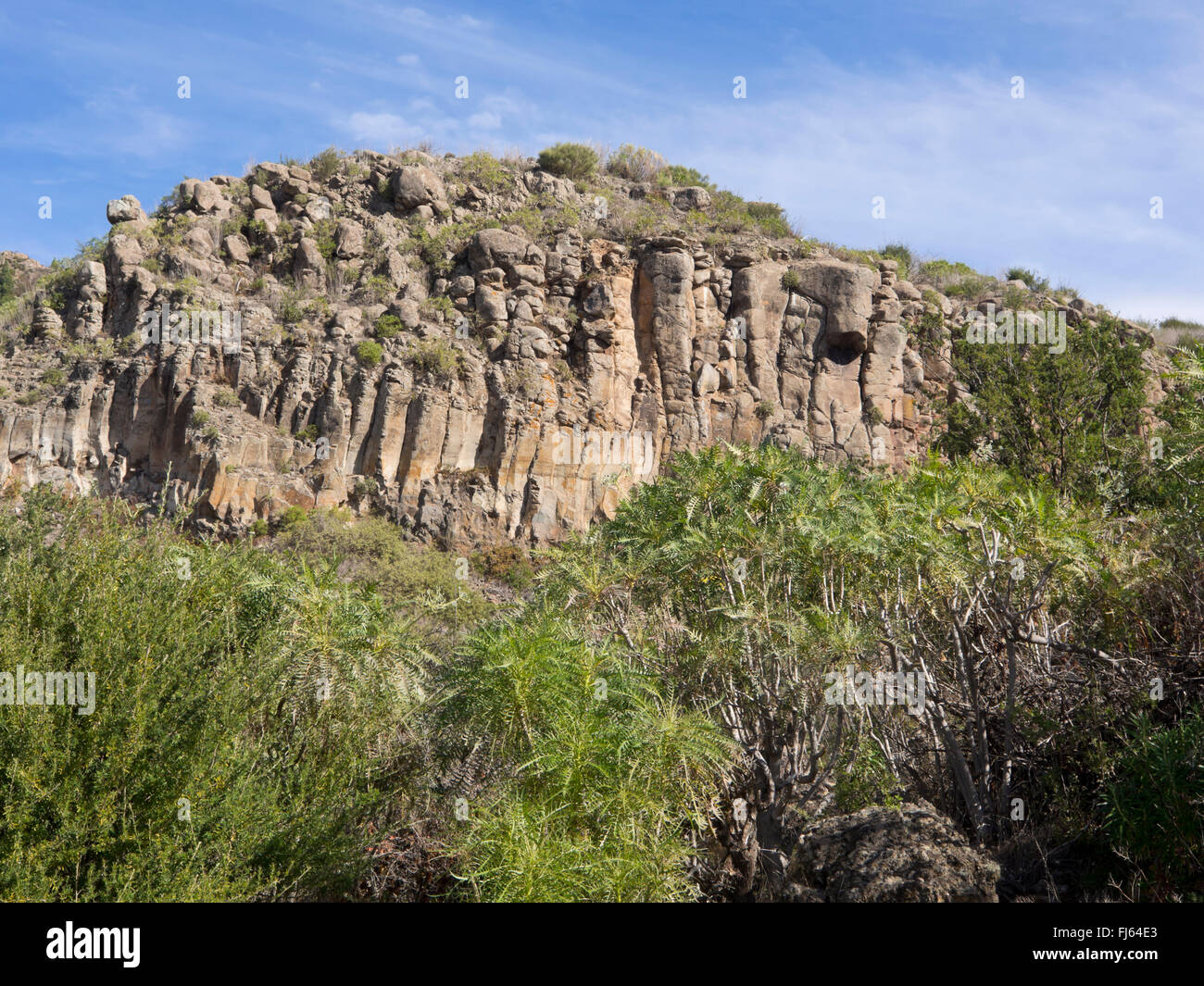 Rocce basaltiche che assomiglia a formazione di organo a canne visto su una escursione sopra la Valle de Arriba in Tenerife Canarie Spagna Foto Stock