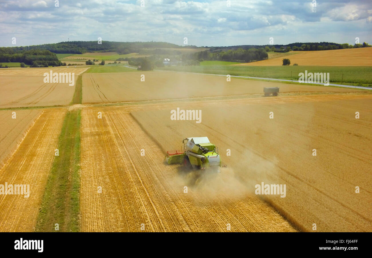 La falciatura-macchina il raccolto di un campo di grano, 23.07.2015, vista aerea , Germania, Baden-Wuerttemberg, Odenwald Foto Stock