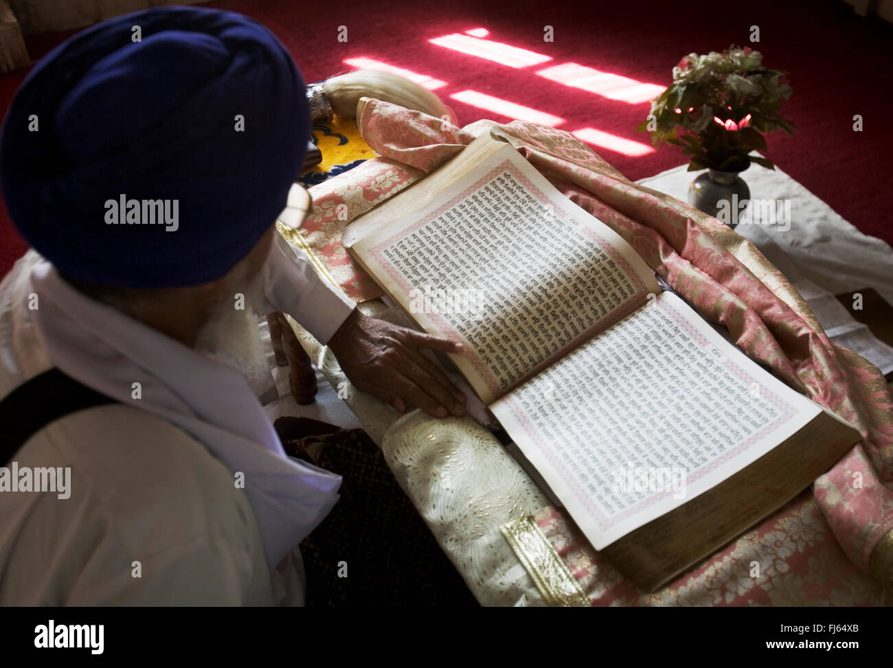 Sacerdote Sikh la lettura della Sacra Scrittura, India Foto Stock