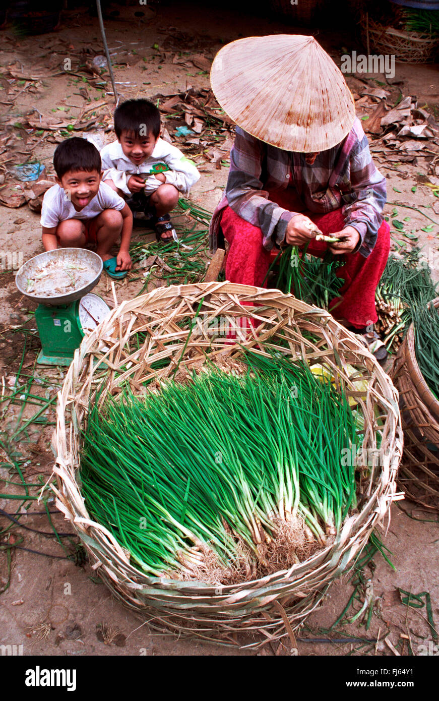 Donna vietnamita cipolle di vendita sul mercato, Vietnam Foto Stock