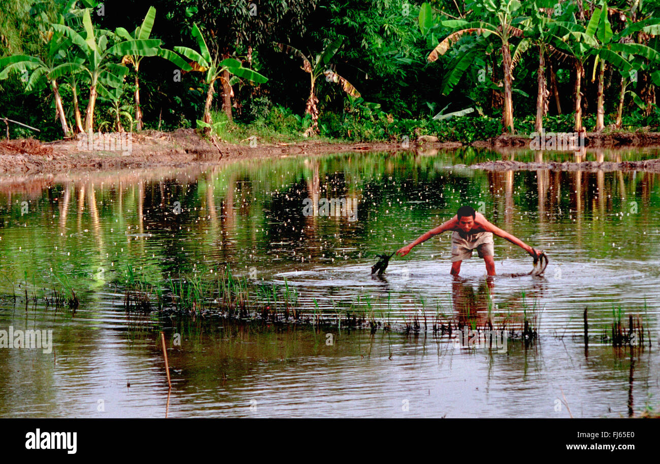 Pescatore vietnamita, in piedi con la rete da pesca nel fiume, Vietnam Foto Stock