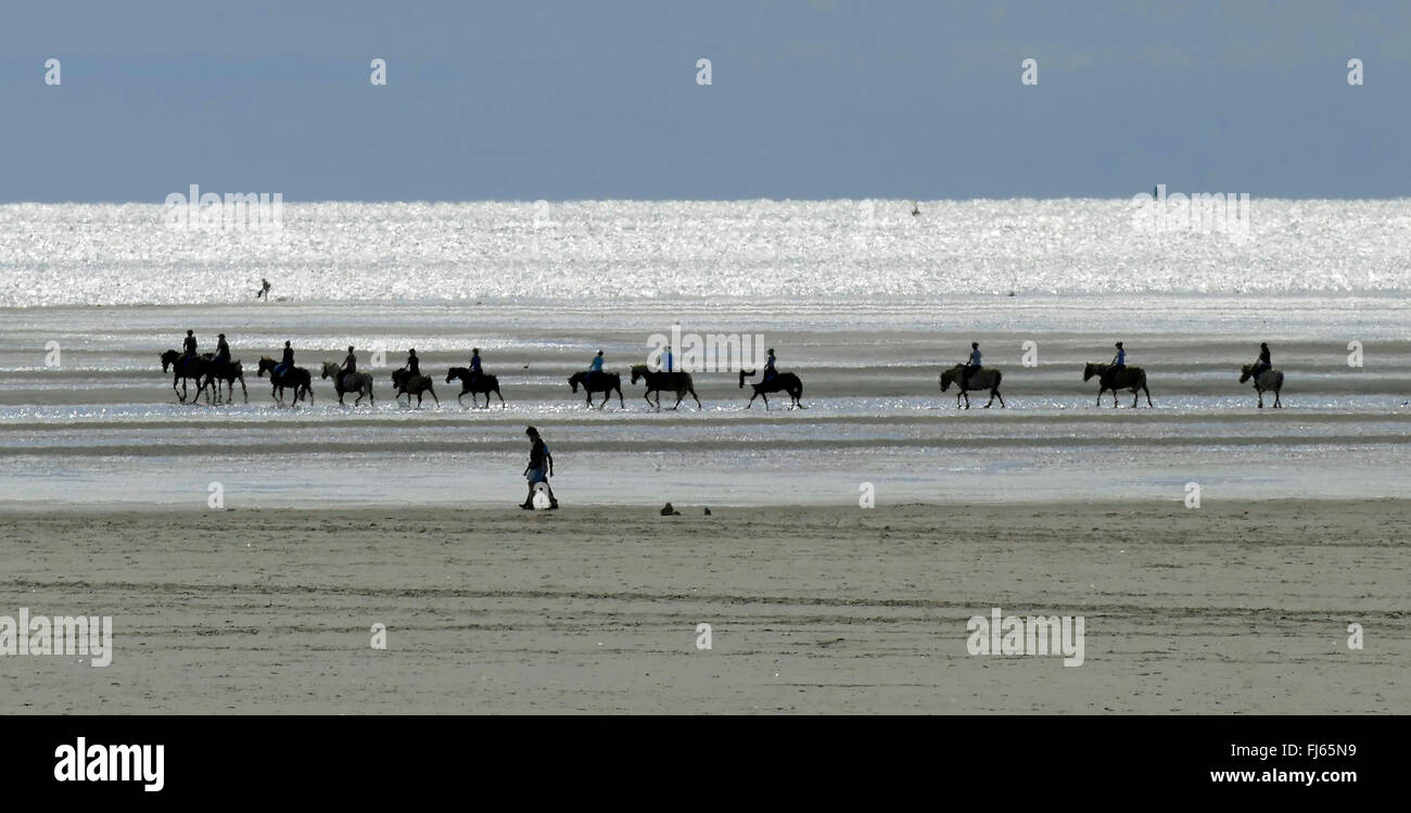 Gruppo equestre sulla spiaggia in controluce, Germania, Schleswig-Holstein, Frisia settentrionale, Sankt Peter-Ording Foto Stock