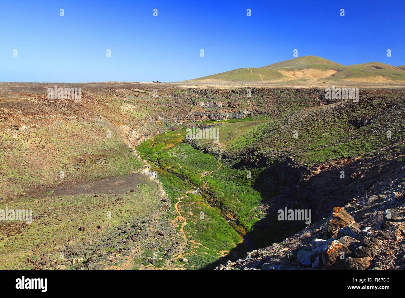 Los Molinos, valle con vegetazione, Isole Canarie Fuerteventura Foto Stock
