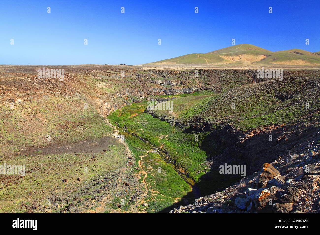 Los Molinos, valle con vegetazione, Isole Canarie Fuerteventura Foto Stock
