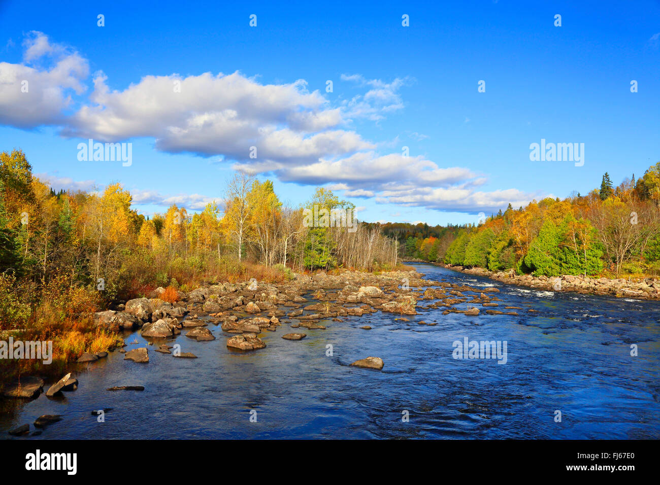 Madawaska fiume vicino a Whitney, Canada Ontario, Algonquin Provincial Park Foto Stock