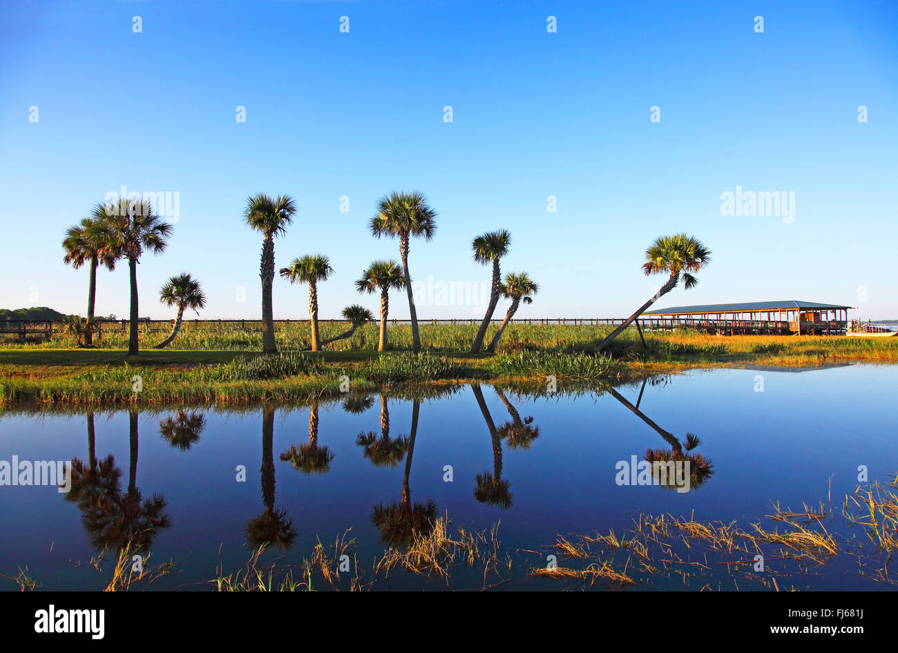 Il lago di Kissimmee, Observation Deck, STATI UNITI D'AMERICA, Florida Foto Stock