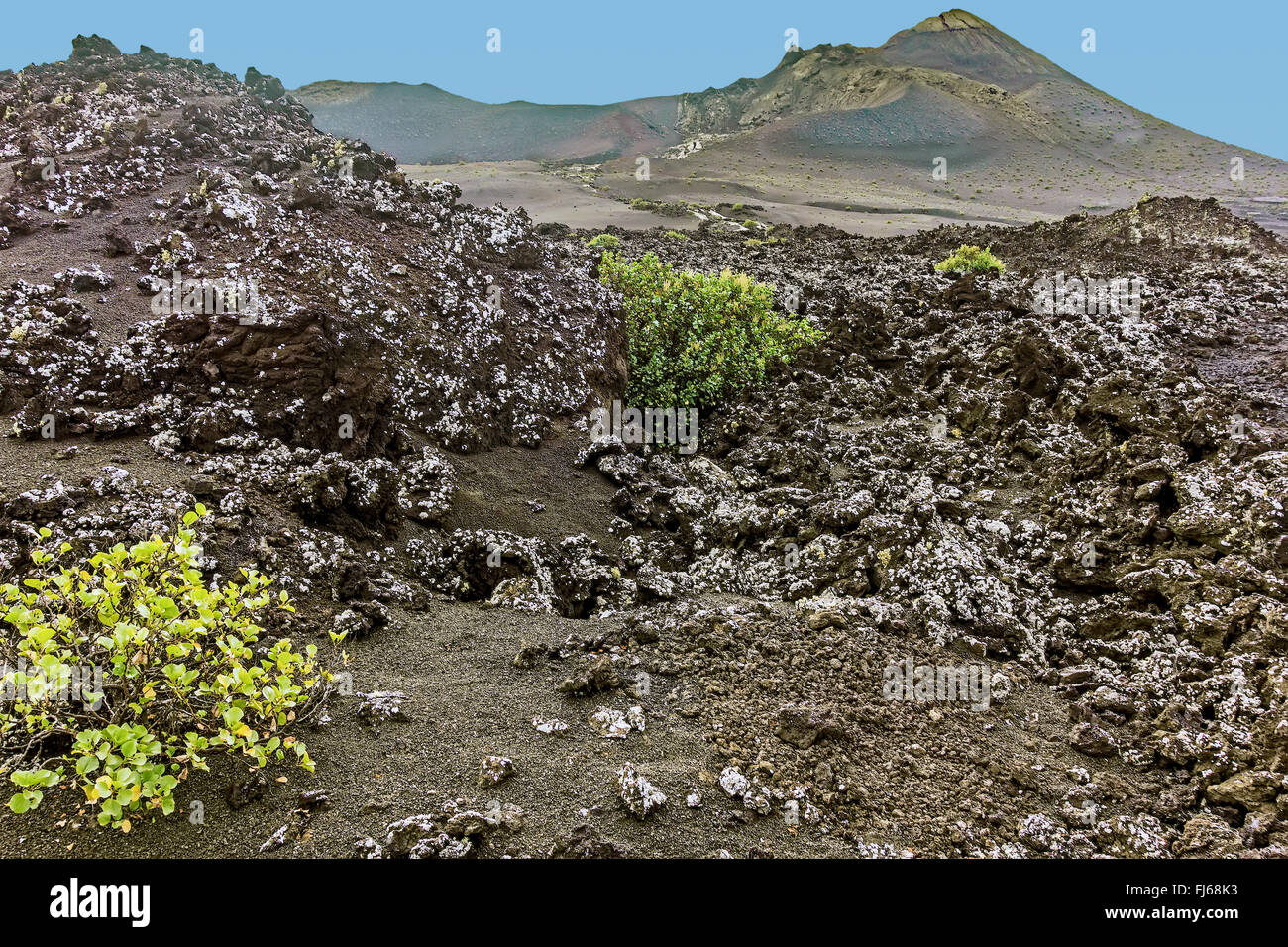 Paesaggio vulcanico Lanzarote isole Canarie Foto Stock