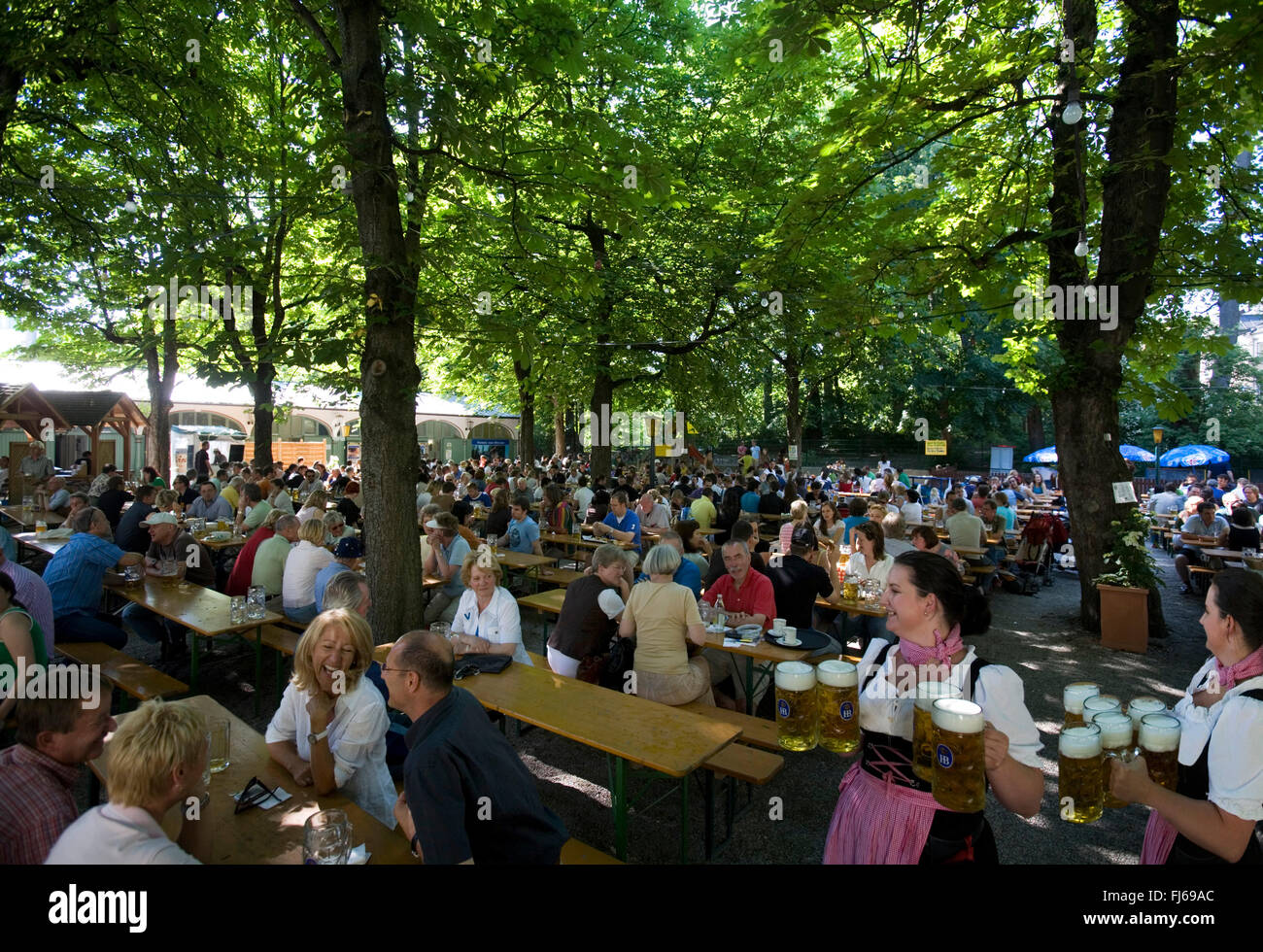 Il Hofbraukeller beergarden. Il più grande aria aperta beergarden a Monaco di Baviera, Germania, Muenchen Foto Stock