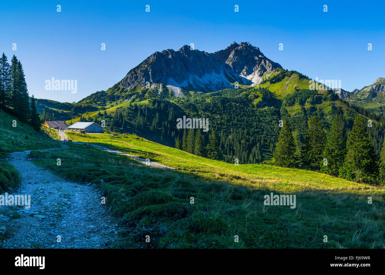 Litnisschrofen, Austria, Tirolo, Tannheimer Berge Foto Stock