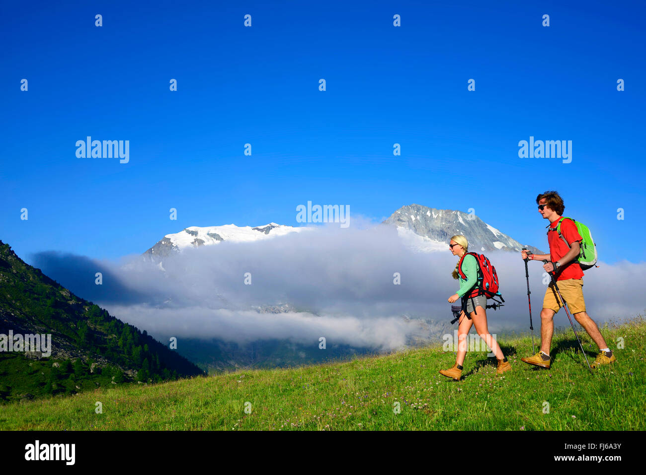 Due escursionisti in un prato di montagna, Mont Pourri in background, Francia, Savoie Foto Stock