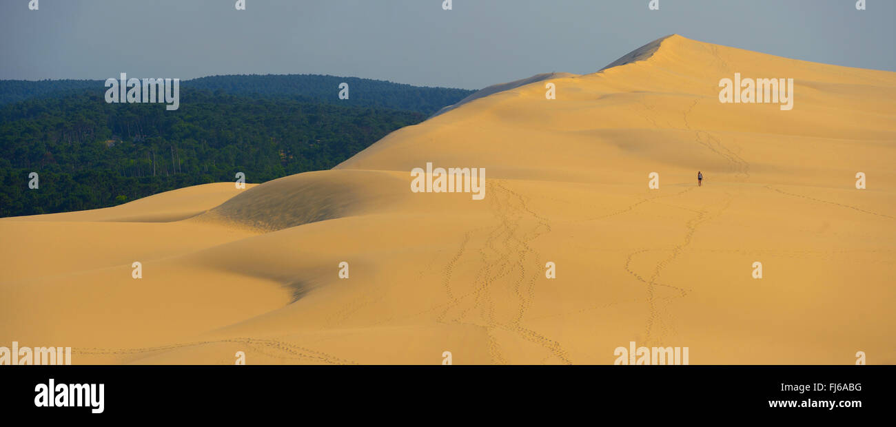 Dune di Pilat, la più alta duna di sabbia in Europa, in Francia, in Arcachon Foto Stock