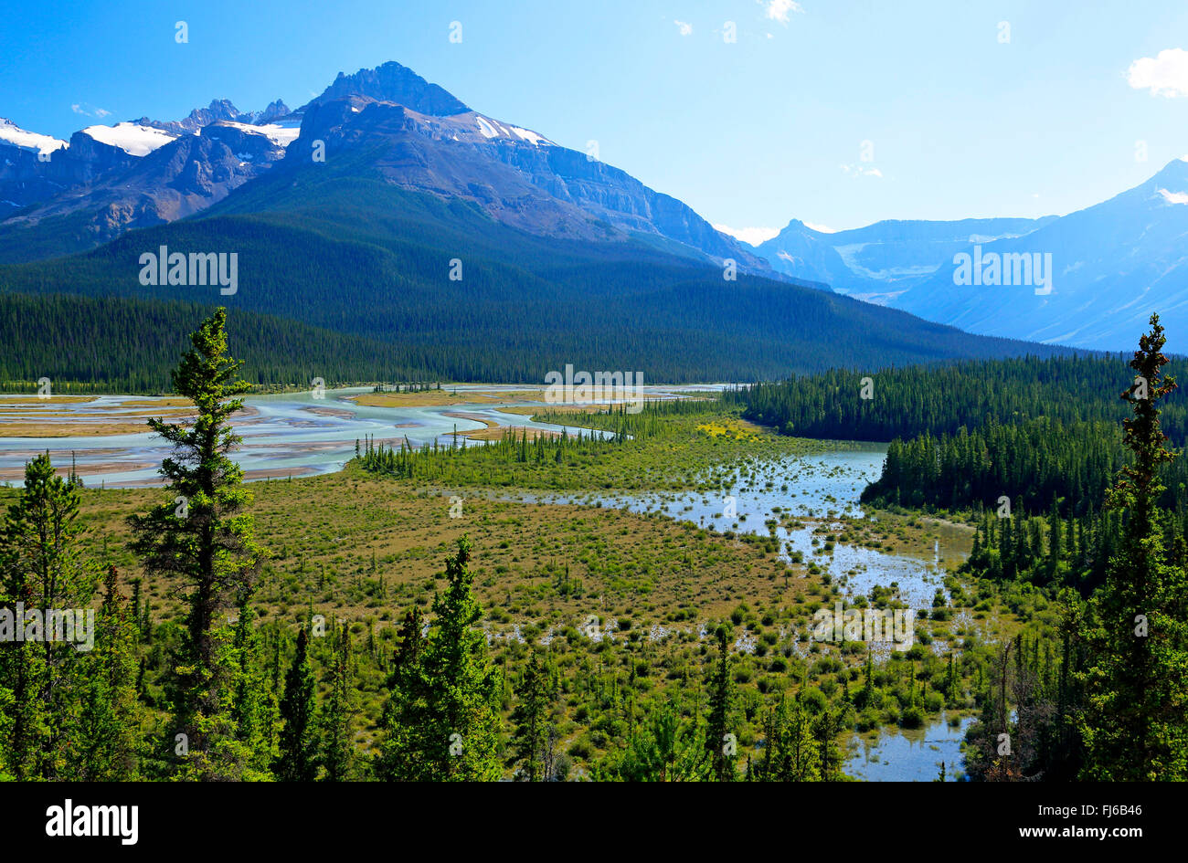 Howse River, Canada, Alberta, il Parco Nazionale di Banff Foto Stock