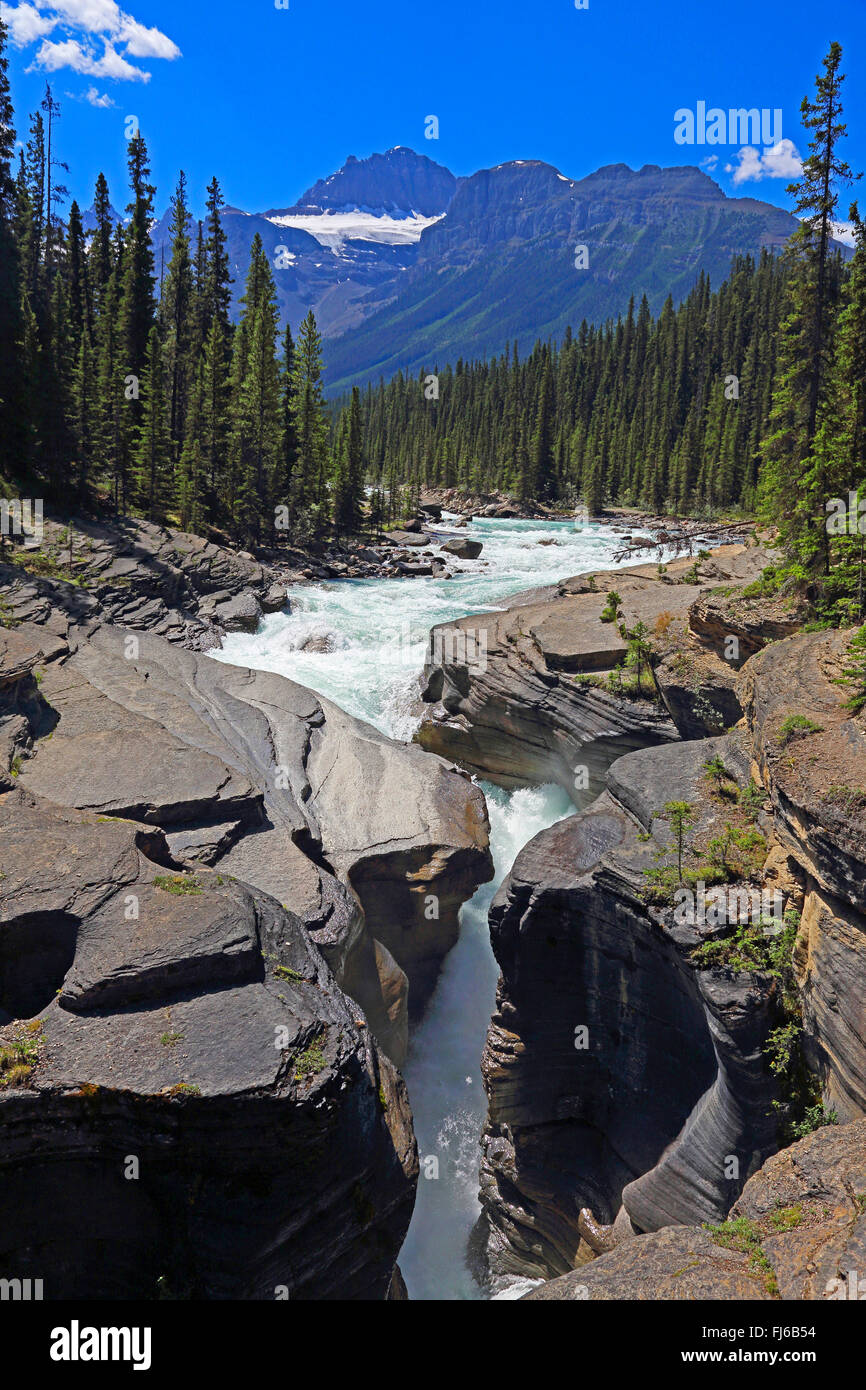 Mistaya Canyon, Canada, Alberta, il Parco Nazionale di Banff Foto Stock