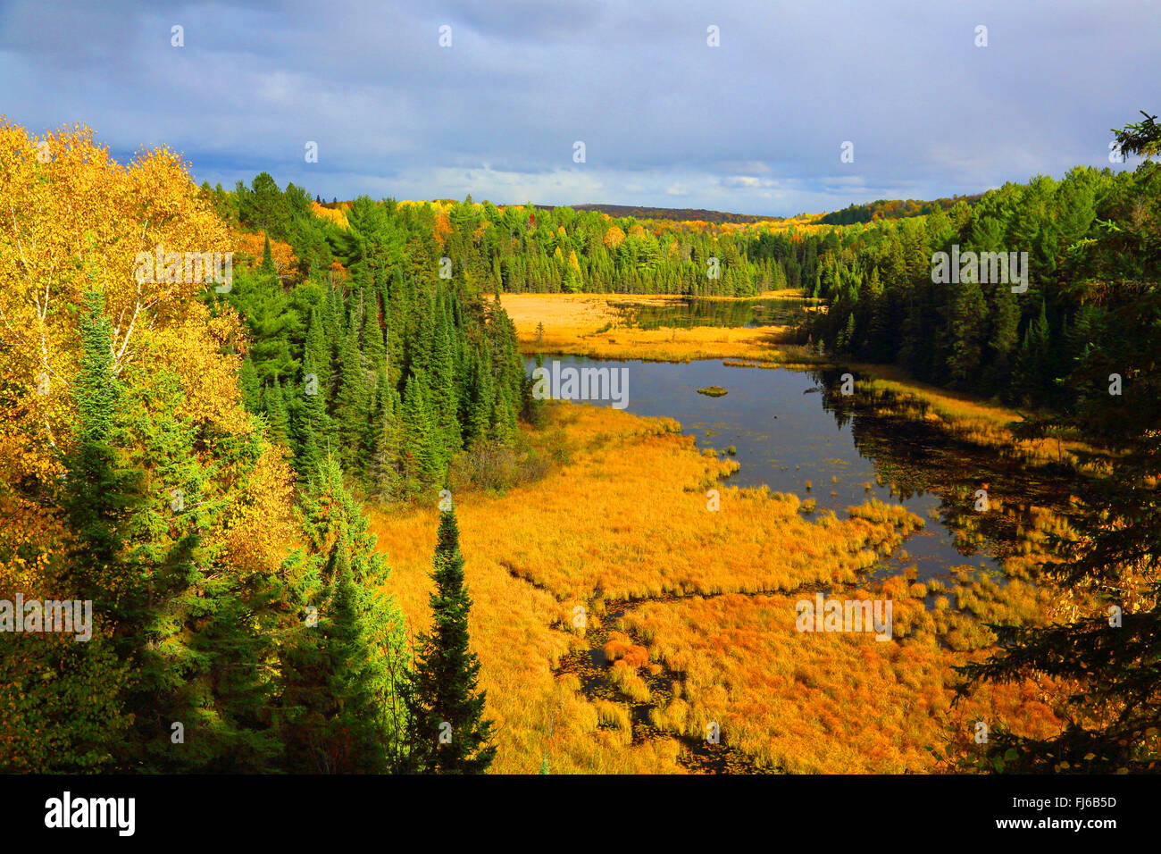 Beaver pond a Algonquin Provincial Park in autunno, Canada Ontario, Algonquin Provincial Park Foto Stock