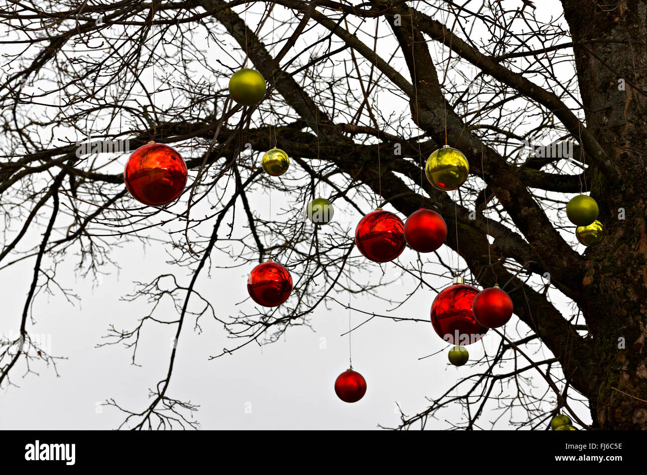 Natale sfera di vetro con decorazioni in albero, Alta Baviera, Germania, Europa. Foto Stock