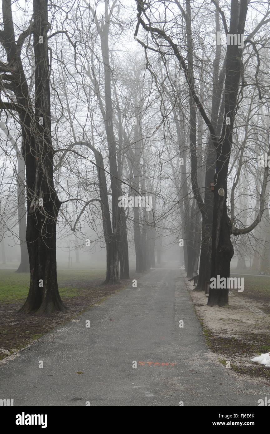 Ponte sul fiume Drava con una fontana Foto Stock