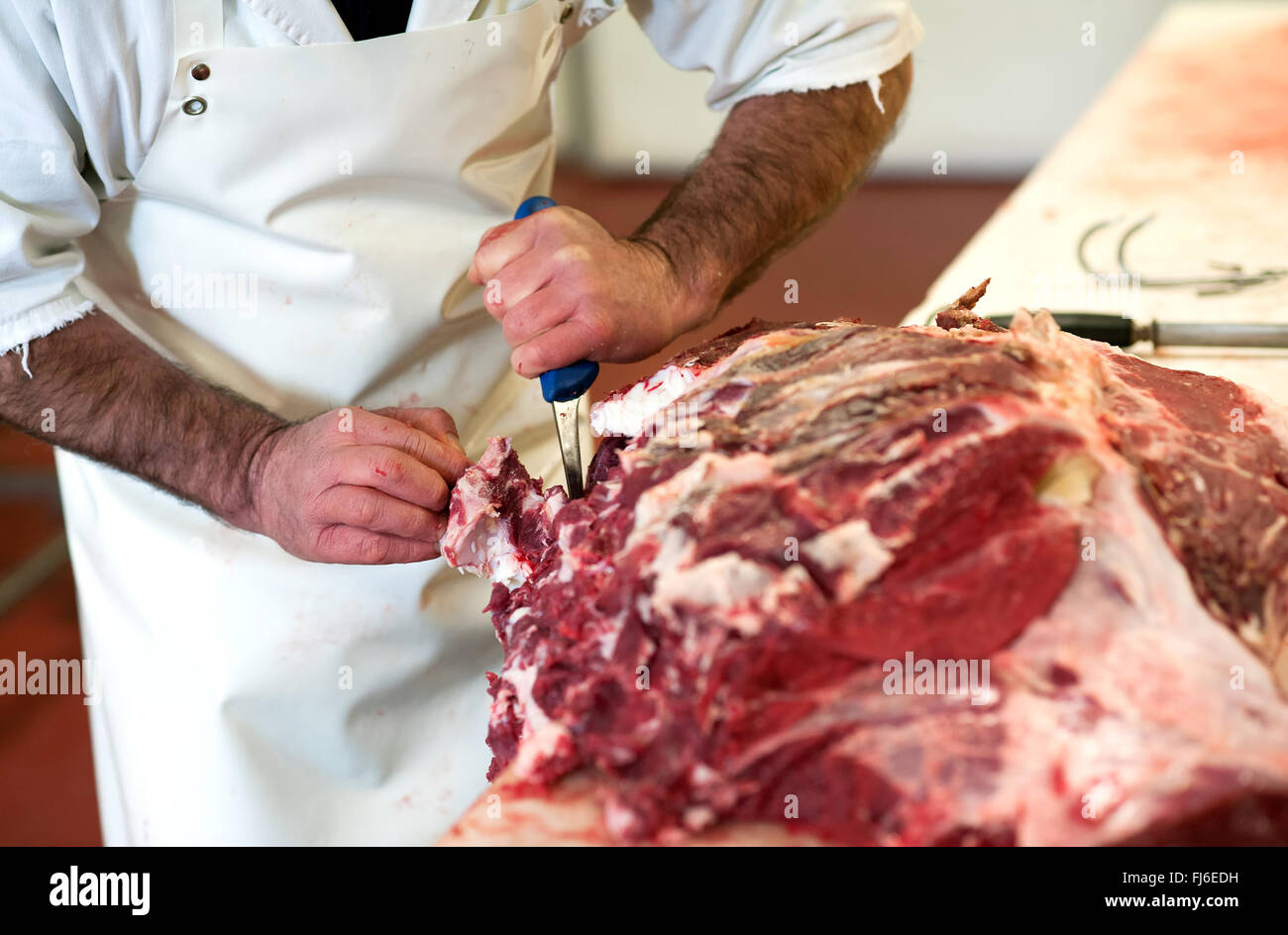 Butcher il taglio di una grande lastra di carne cruda off una carcassa con un coltello Foto Stock