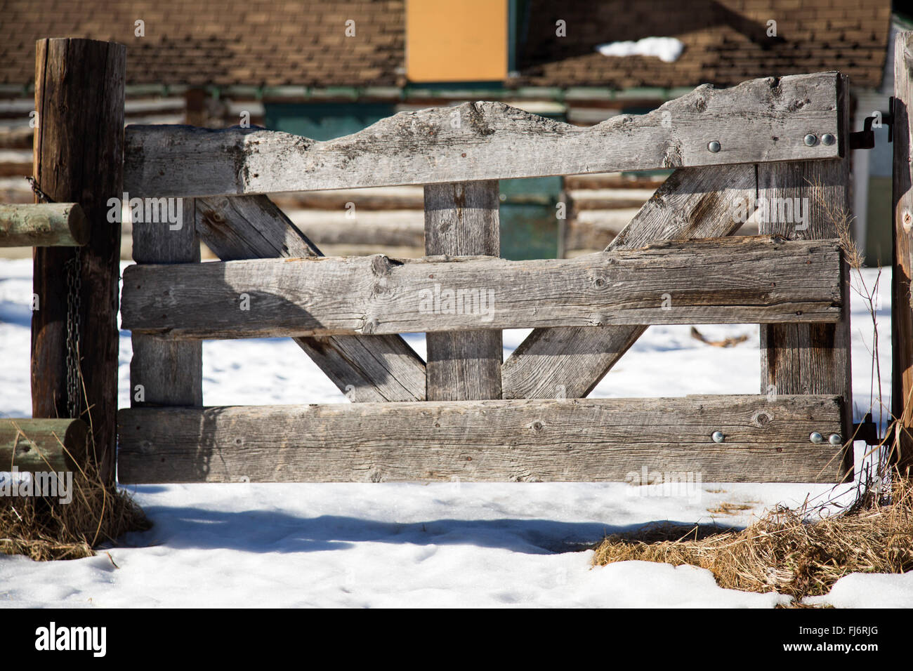 Un weathered cancello in legno per una stalla in Shannon Terrazza Park a Calgary, Alberta, Canada. Foto Stock
