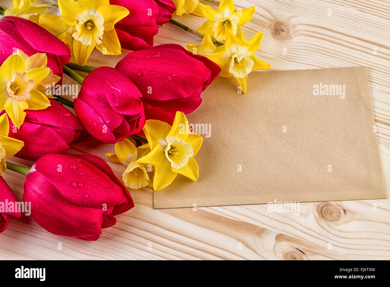 Rosso Giallo fiori di primavera o di Pasqua Festa della Mamma Foto Stock