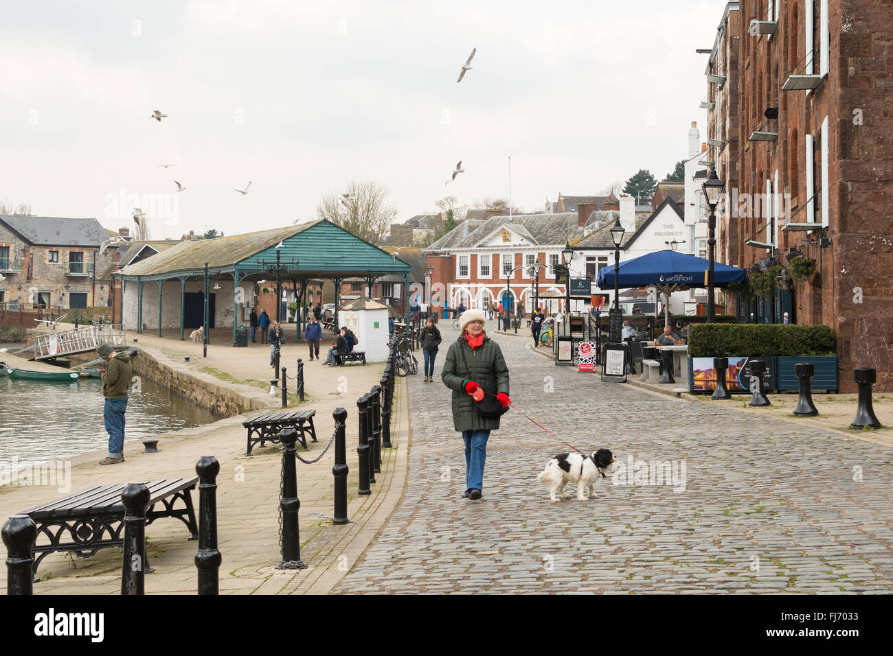 Exeter Quayside - una donna di mezza età a piedi il suo cane lungo il lato del fiume Exe in inverno Foto Stock