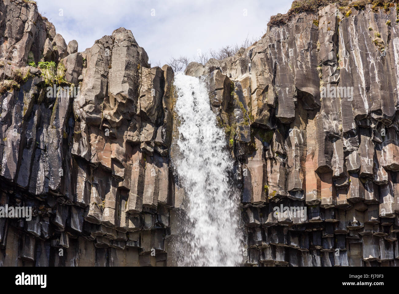 Cascata svartifoss all'interno del skaftafell national park Foto Stock