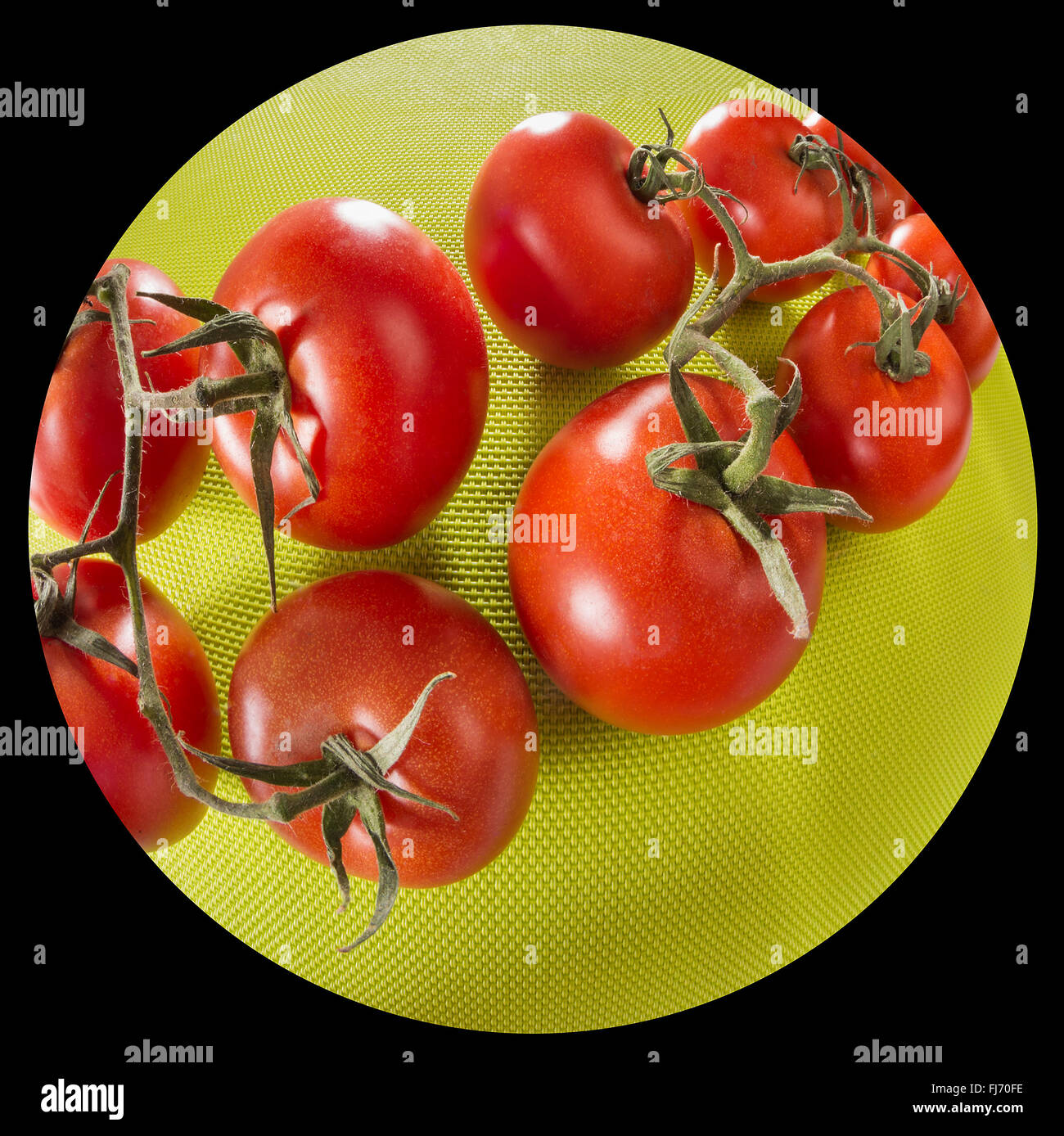 Pomodori su uno sfondo verde, obiettivo fisheye, ampio angolo di distorsione della lente lontano, enorme rosso rotondo verde, lucida, fresco con steli, BU Foto Stock