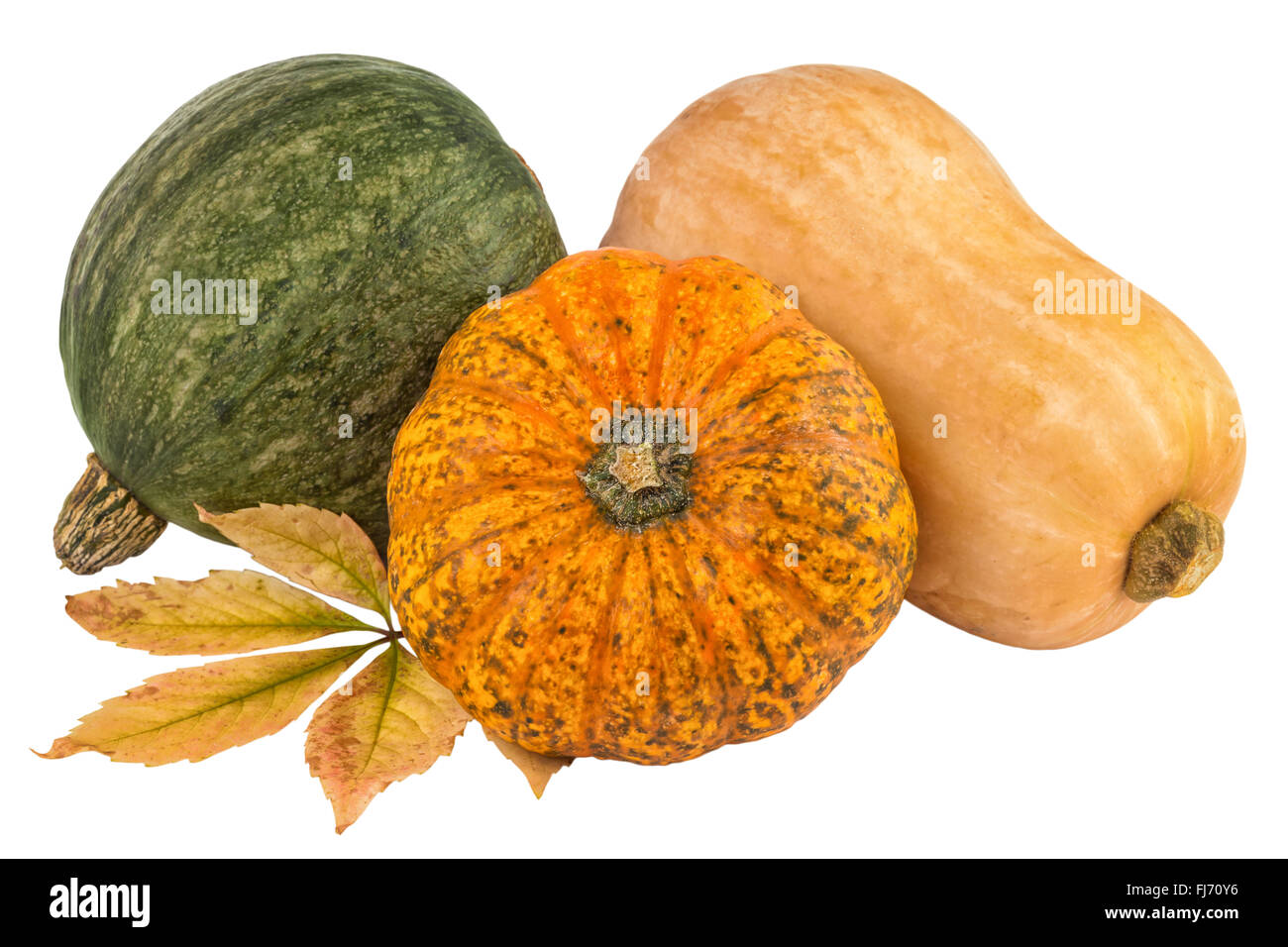 Zucca zucca giallo arancione verde Foto Stock