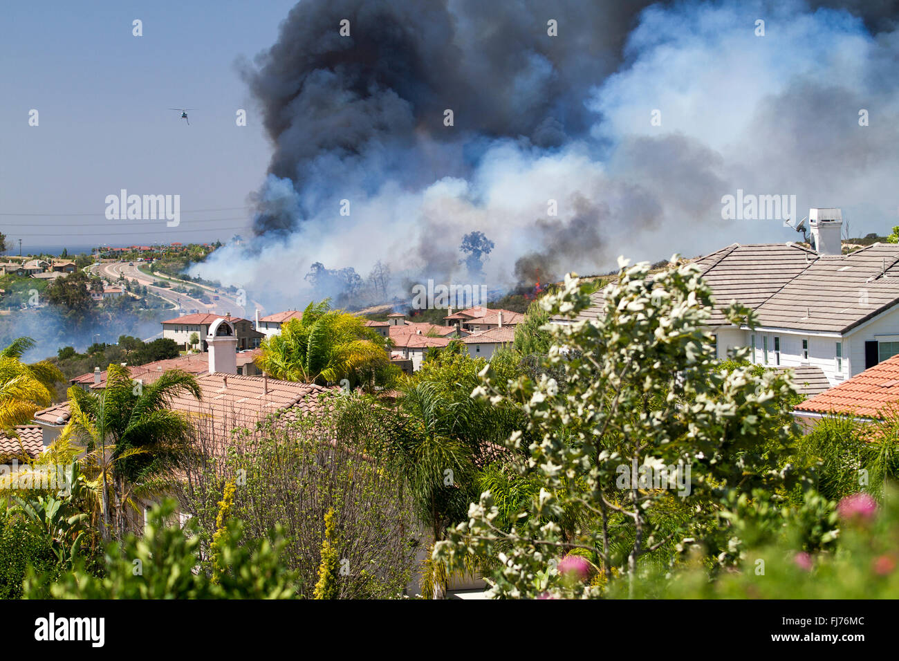 Spazzola incendio in una zona residenziale a San Diego in California Foto Stock