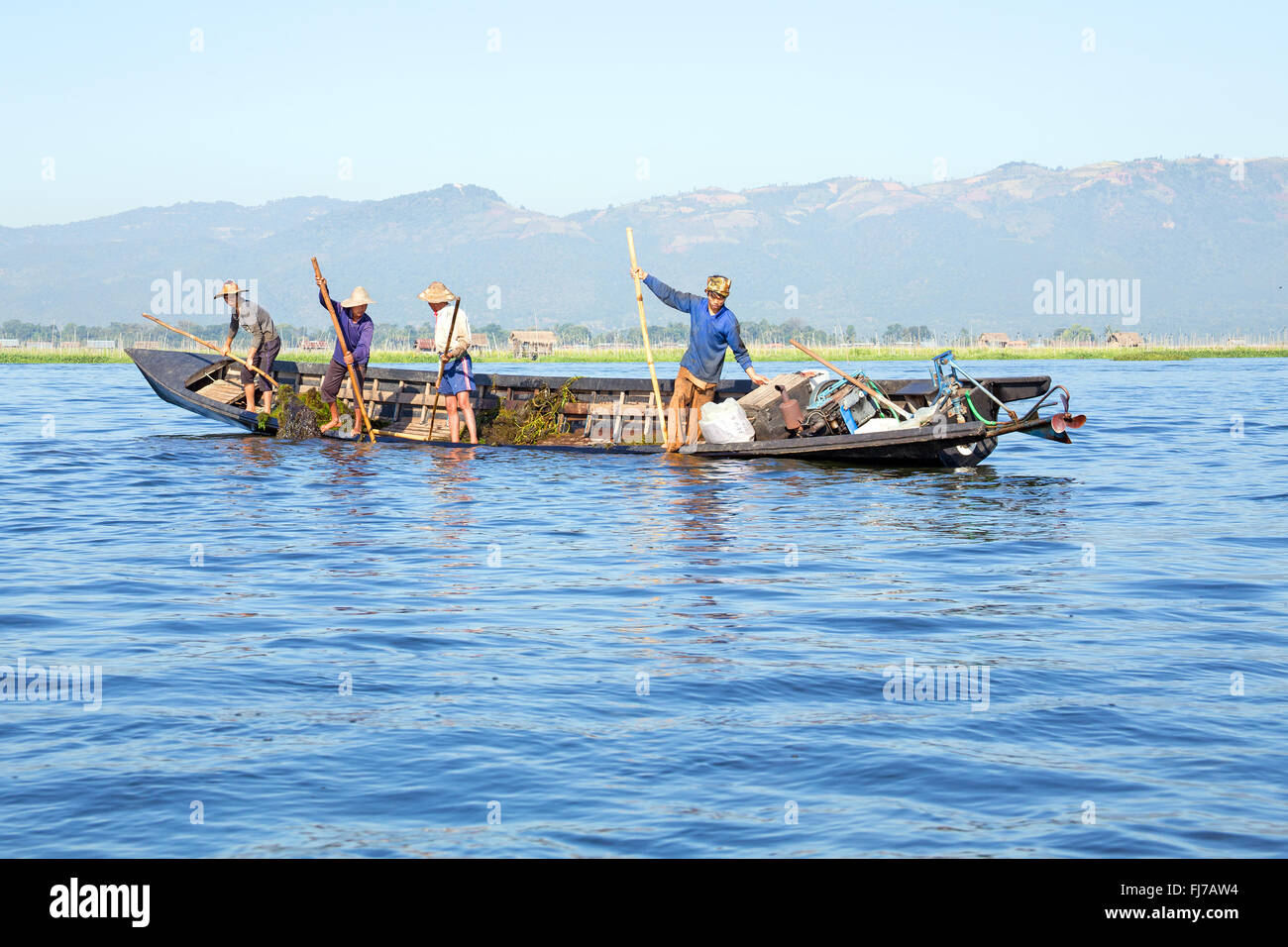 Lago Inle, MYANMAR - Novembre 23, 2015: i lavoratori locali raccolta di alghe dall'acqua fresca sul Lago Inle, Myanmar Foto Stock