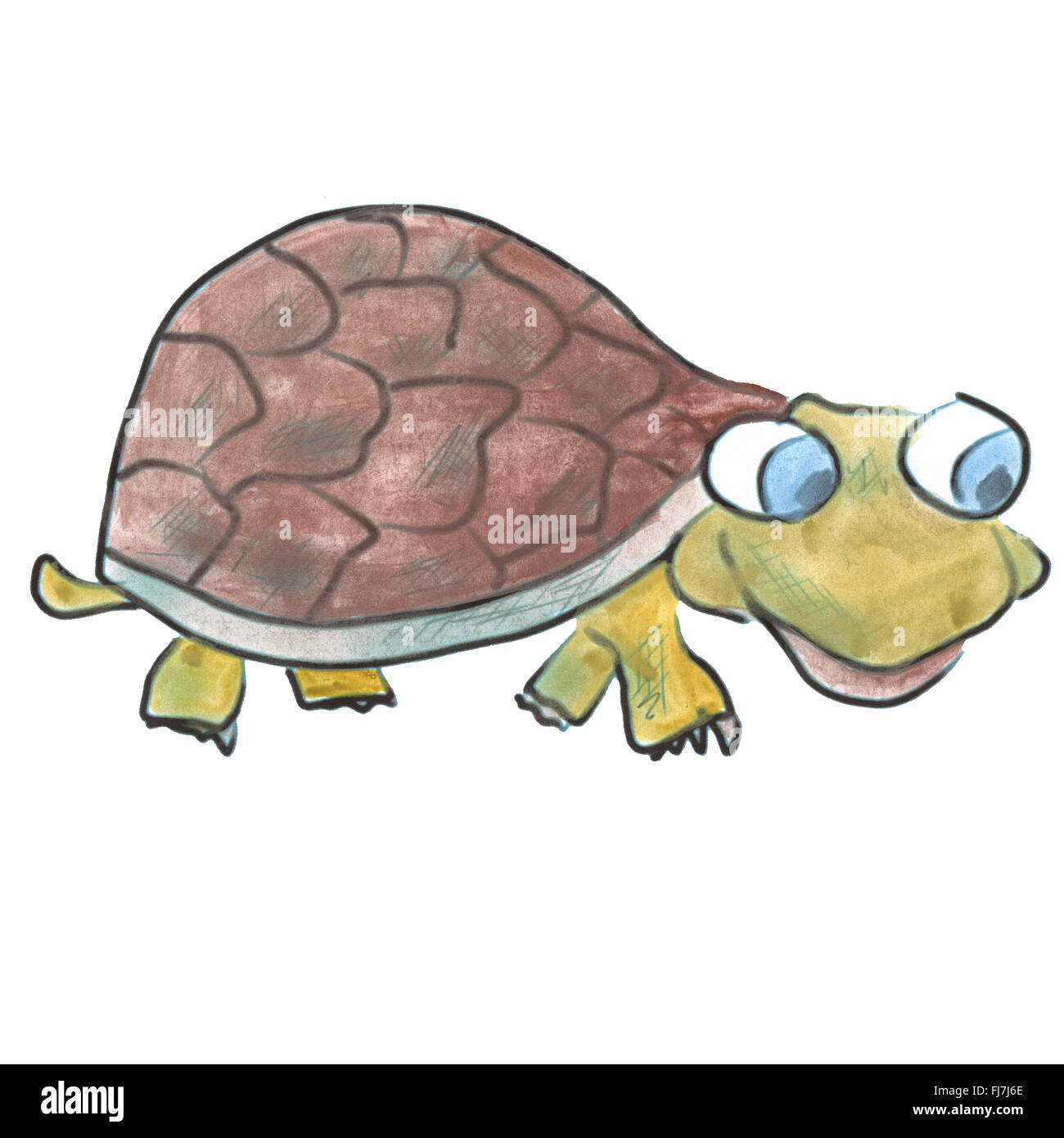 Acquerello marrone cartoon turtle isolato Foto Stock