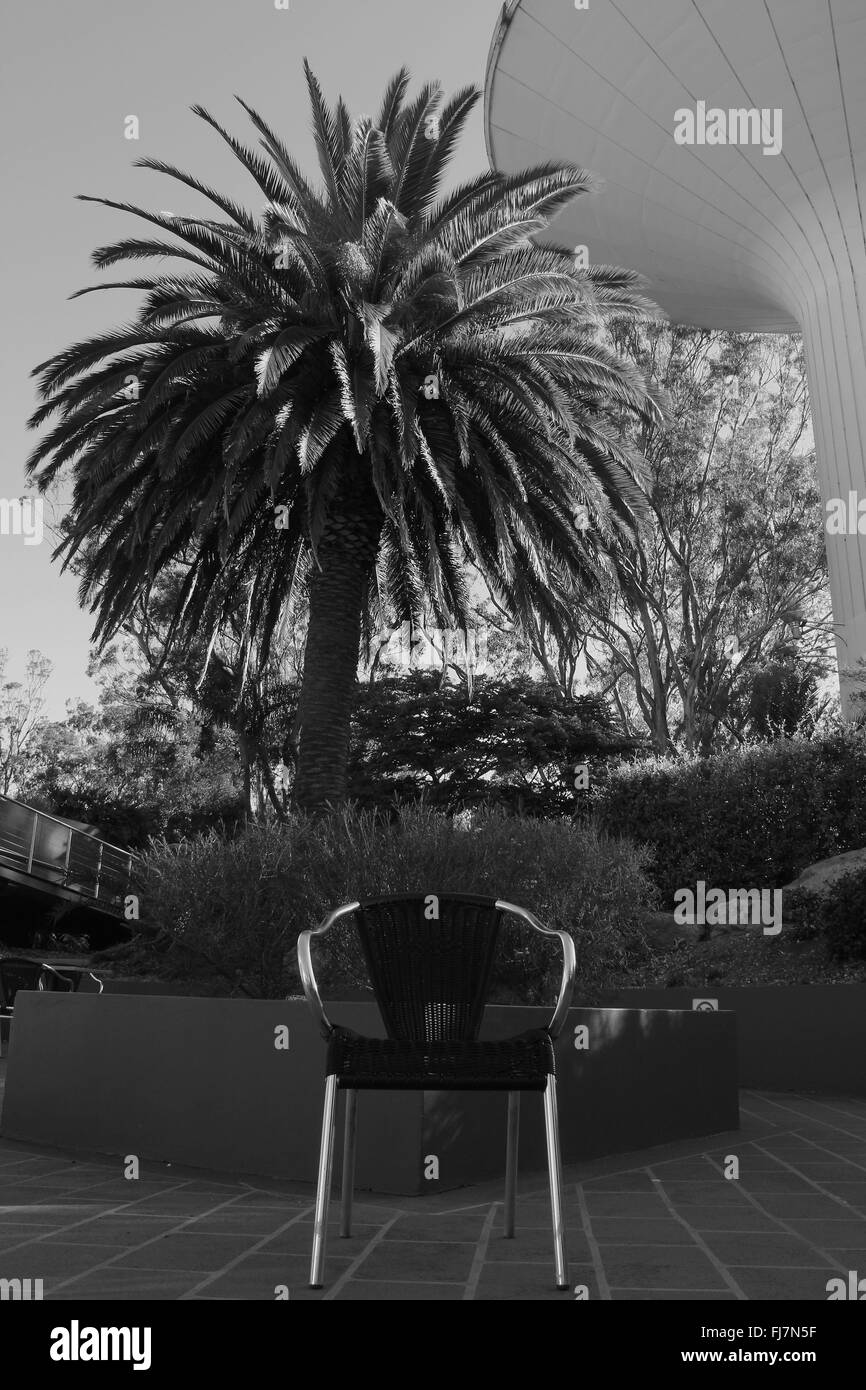 Sedia in architettura paesaggistica con impostazione Palm tree in bianco e nero Foto Stock