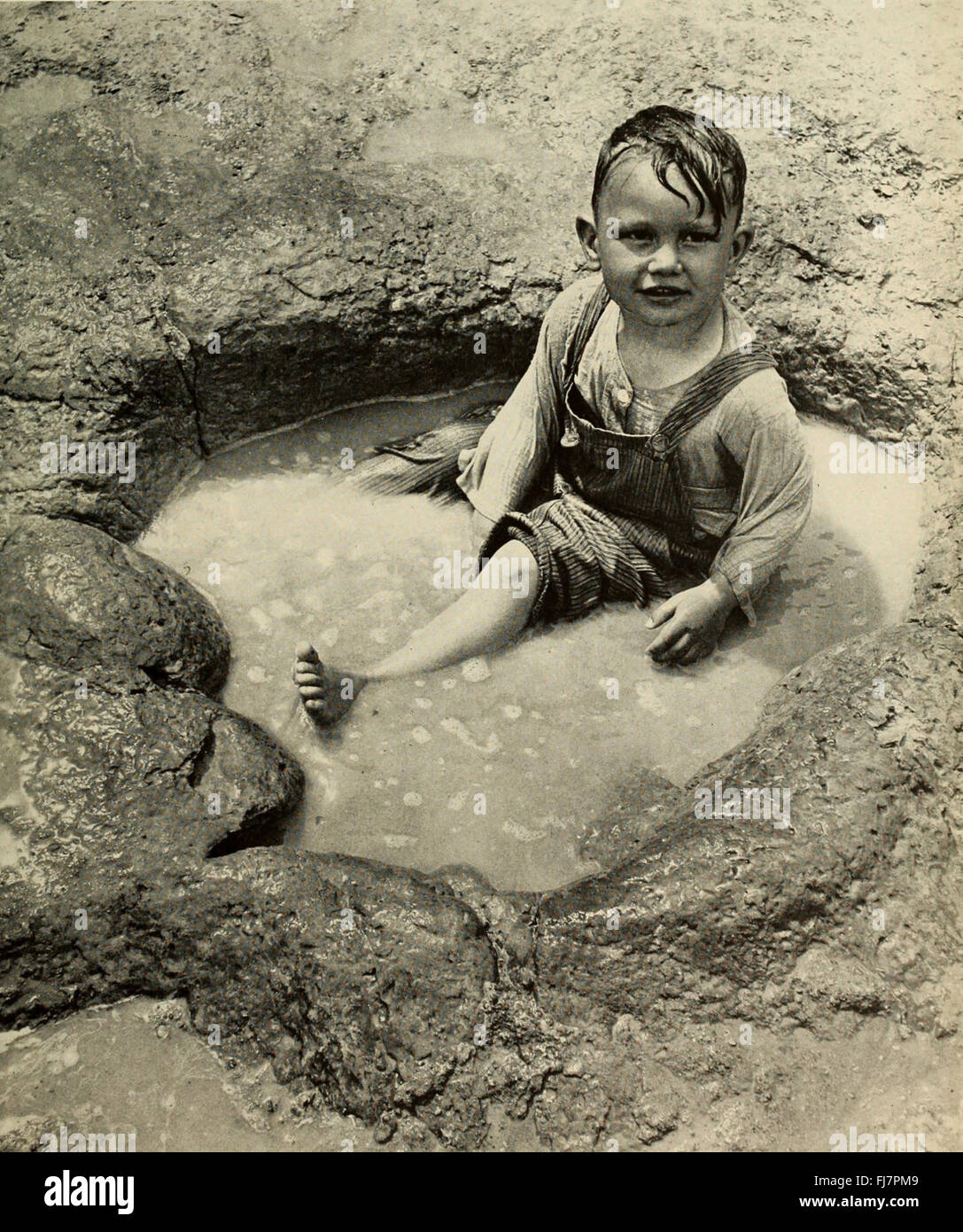 Il libro di dinosauro - la sentenza di rettili e i loro parenti (1945) Foto Stock