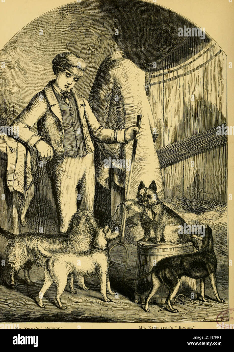Una guida del 1878 alle razze di cani delle Isole britanniche, comprese le caratteristiche di razza e il trattamento della malattia Foto Stock