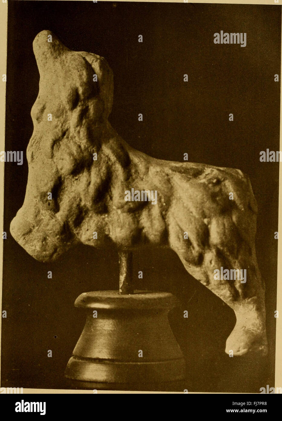 Guida illustrata alle razze di cani, con dettagli sulla loro storia, cura e gestione per case e mostre. Foto Stock