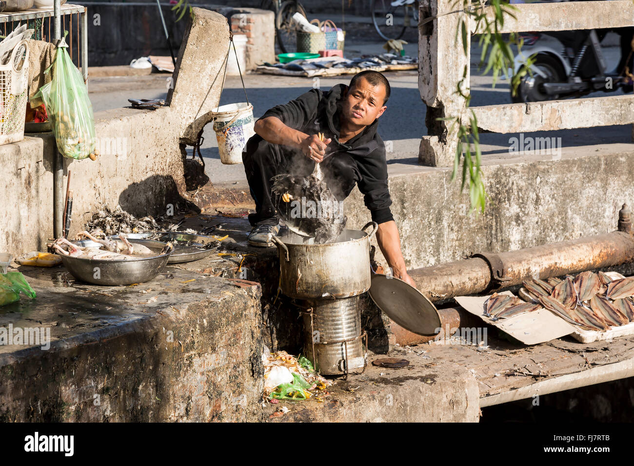 Un uomo de-impennare un pollo nelle strade di Hai Phong, Vietnam Foto Stock