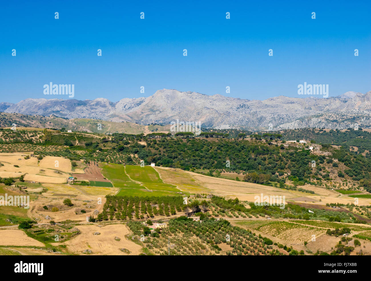 Dolci colline con le aziende agricole che termina presso la gamma della montagna contro il cielo blu e chiaro. Foto Stock