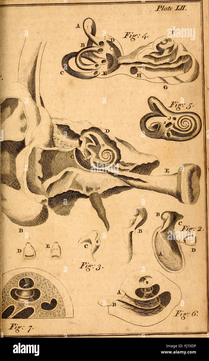 Il giovane gentiluomo e signora della filosofia - in una continua indagine delle opere di arte e natura a titolo del dialogo (1759) Foto Stock