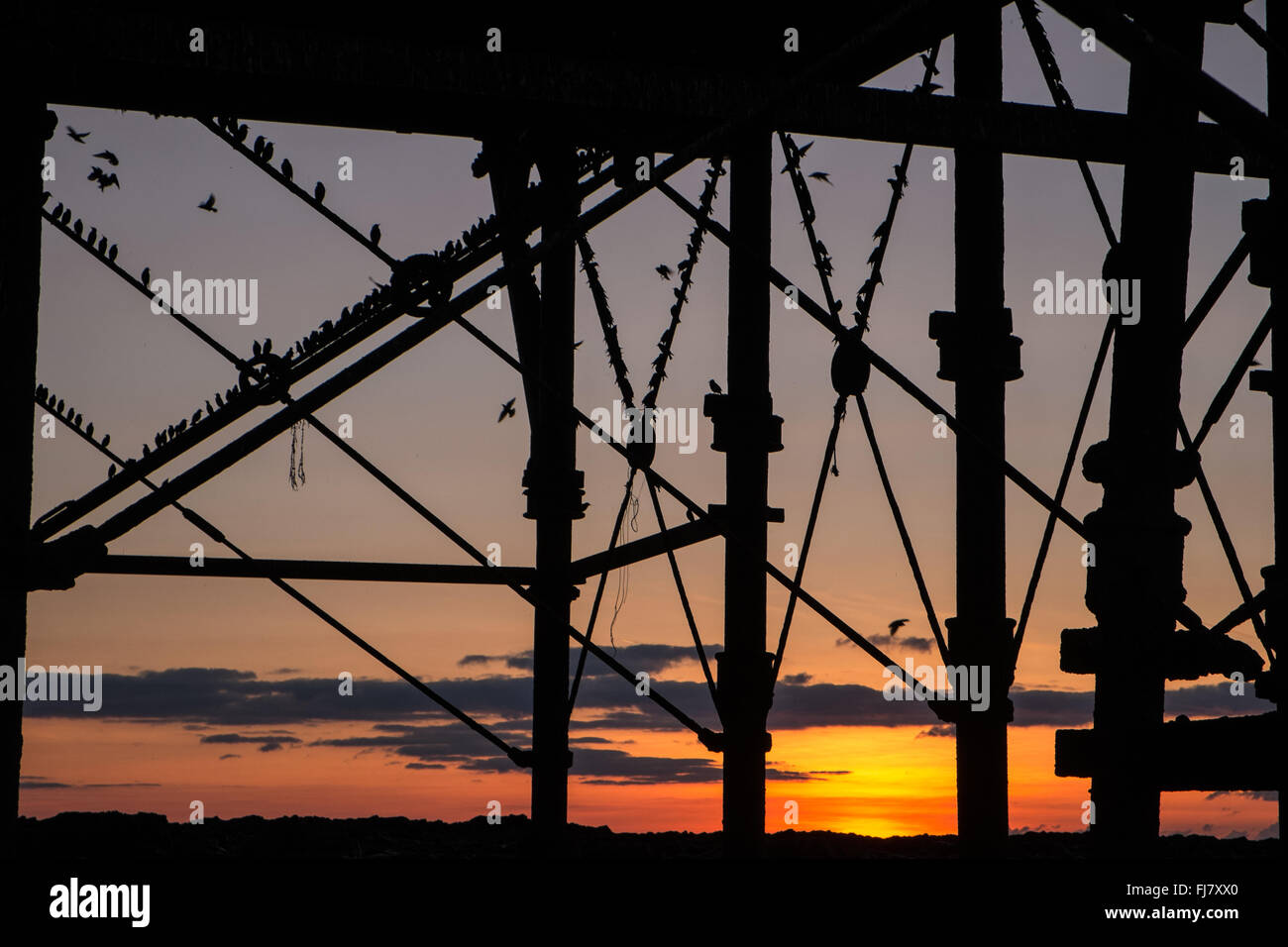 Per gli storni a Aberystwyth Pier,Aberystwyth,al tramonto.Ceredigion,Galles,U.K. Foto Stock