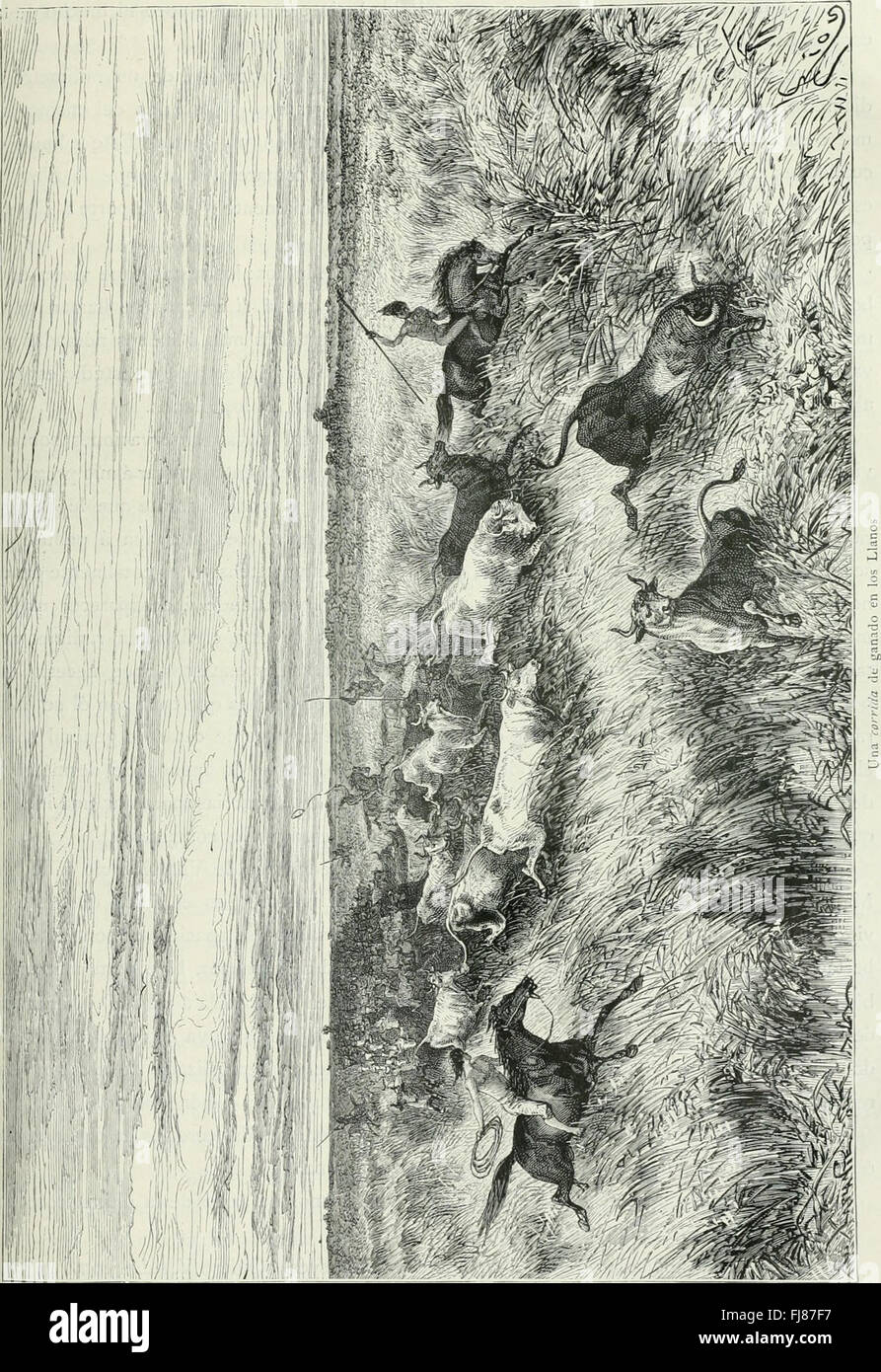 América Pintoresca; Descripción de Viajes al Nuevo continente por los Más Modernos Exploradores (1884) - descrizioni di viaggio del nuovo mondo Foto Stock
