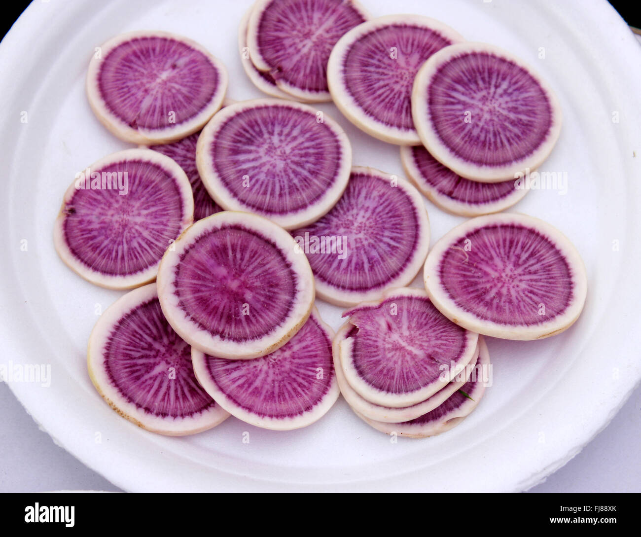 PUSA Jamuni ravanello Raphanus sativus, viola riprendevano il Ravanello di varietà, ricco di sostanze nutritive, antocianine e acido ascorbico Foto Stock