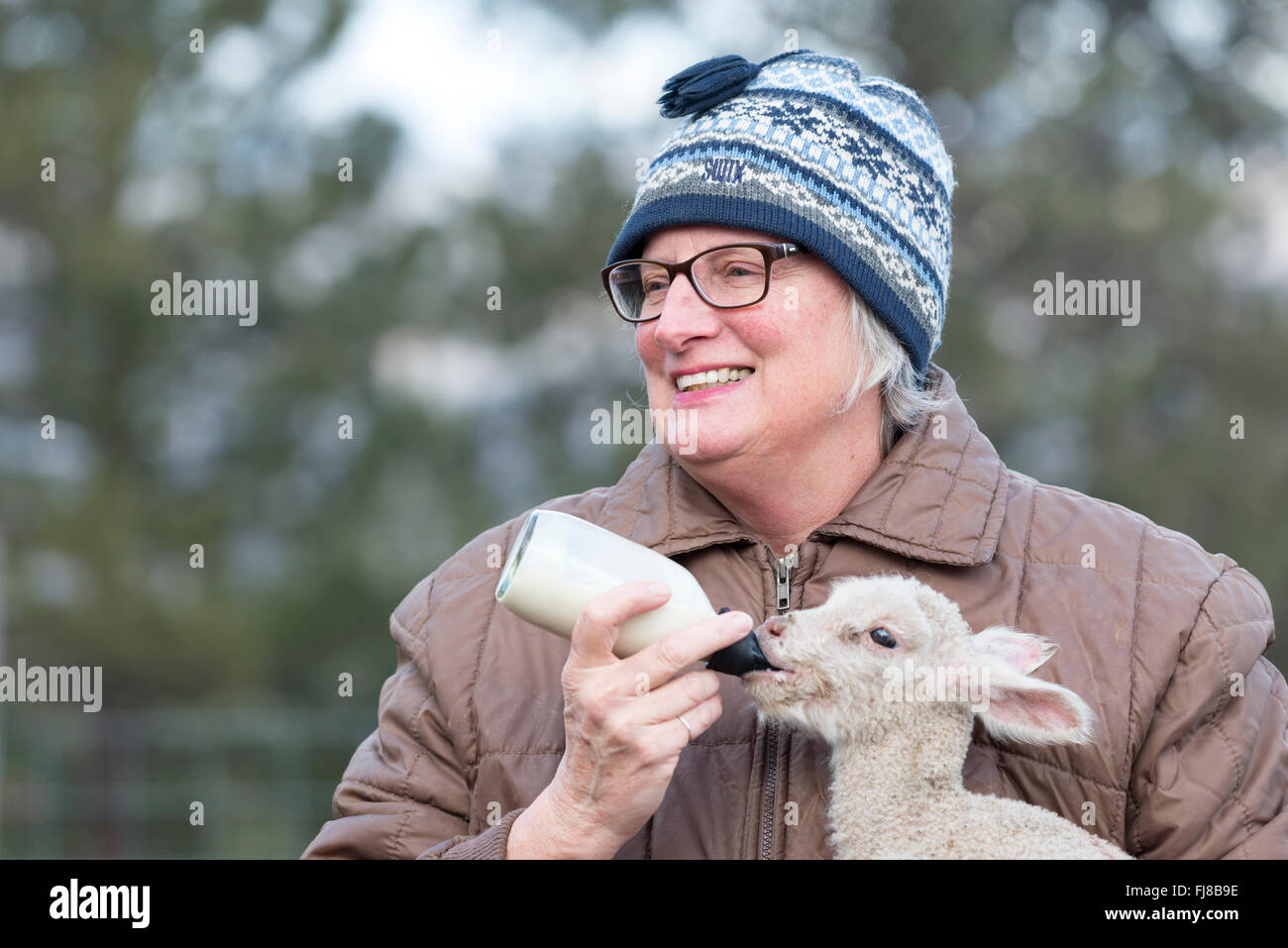 Donna biberon un agnello. Foto Stock