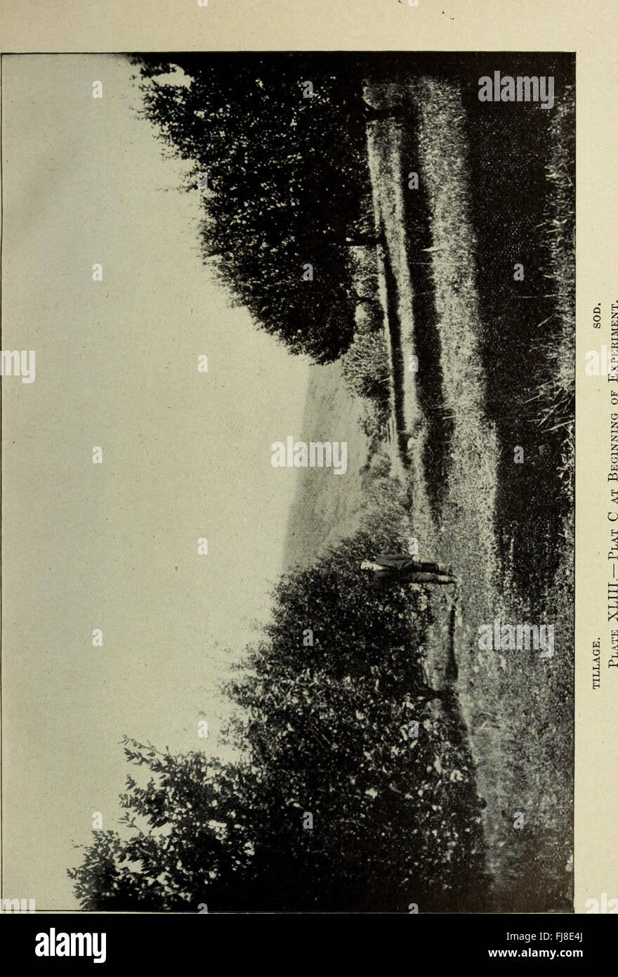 Il rapporto annuale 1914 della New York Agricultural Experiment Station fornisce un resoconto dettagliato della ricerca agricola, delle innovazioni e dei progressi compiuti nelle pratiche agricole durante quell'anno. Foto Stock