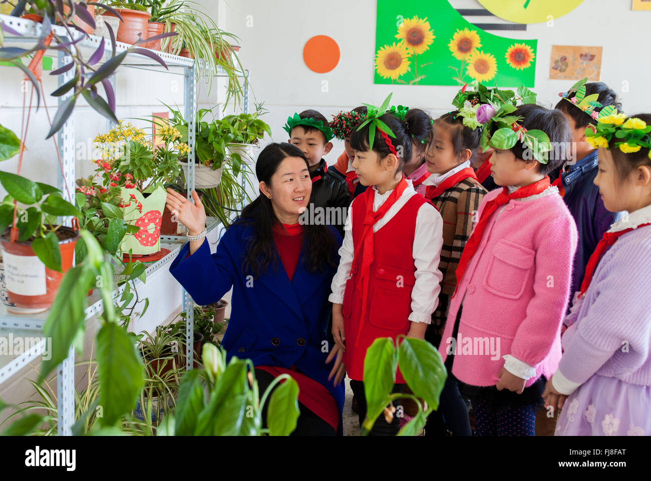 Hohhot, la Cina della Mongolia Interna Regione Autonoma. 1 Mar, 2016. Maestro Hao Jia (1L) introduce alle piante di alunni di una scuola primaria a Hohhot, capitale del nord della Cina di Mongolia Interna Regione Autonoma, 1 marzo 2016. Gli insegnanti e gli studenti di una scuola primaria a Hohhot decorate loro aule con impianti per ambiente di apprendimento migliore. © Ding Genhou/Xinhua/Alamy Live News Foto Stock