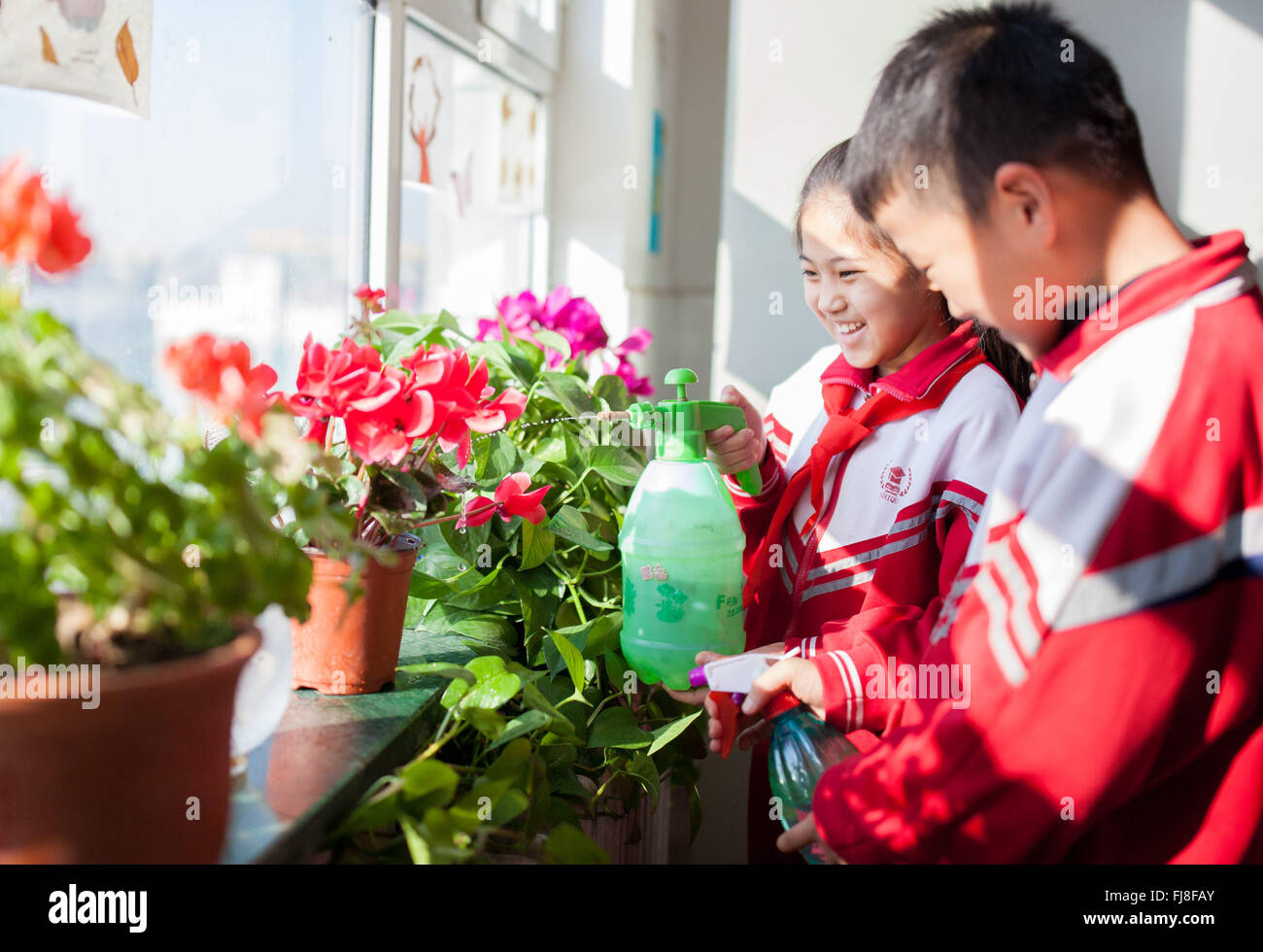Hohhot, la Cina della Mongolia Interna Regione Autonoma. 1 Mar, 2016. Gli alunni di piante in acqua in una scuola primaria a Hohhot, capitale del nord della Cina di Mongolia Interna Regione Autonoma, 1 marzo 2016. Gli insegnanti e gli studenti di una scuola primaria a Hohhot decorate loro aule con impianti per ambiente di apprendimento migliore. © Ding Genhou/Xinhua/Alamy Live News Foto Stock