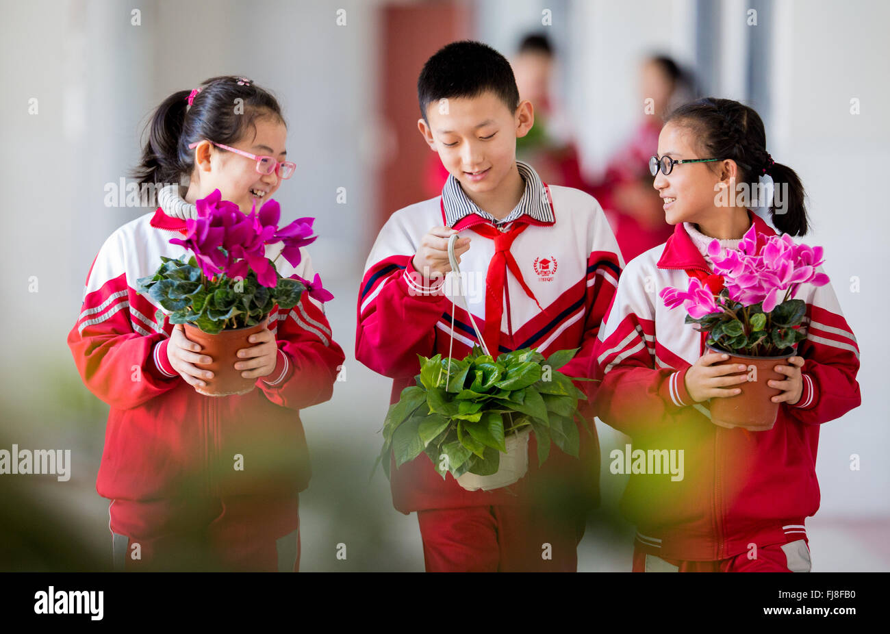 Hohhot, la Cina della Mongolia Interna Regione Autonoma. 1 Mar, 2016. Gli studenti di portare le piante ad una scuola elementare a Hohhot, capitale del nord della Cina di Mongolia Interna Regione Autonoma, 1 marzo 2016. Gli insegnanti e gli studenti di una scuola primaria a Hohhot decorate loro aule con impianti per ambiente di apprendimento migliore. © Ding Genhou/Xinhua/Alamy Live News Foto Stock