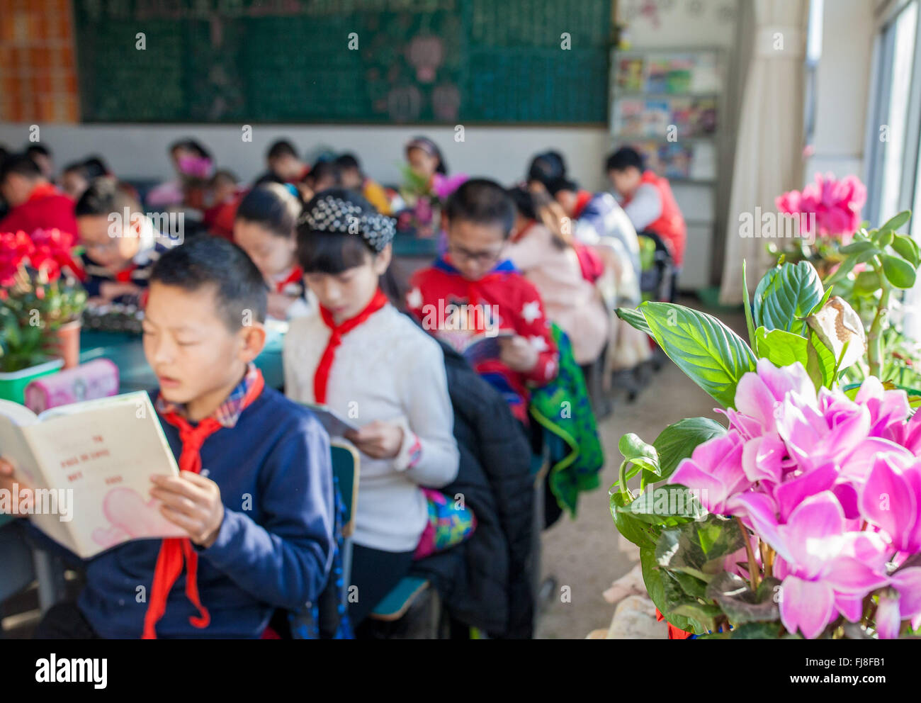 Hohhot, la Cina della Mongolia Interna Regione Autonoma. 1 Mar, 2016. Gli alunni leggere in un aula decorata con piante in una scuola primaria a Hohhot, capitale del nord della Cina di Mongolia Interna Regione Autonoma, 1 marzo 2016. Gli insegnanti e gli studenti di una scuola primaria a Hohhot decorate loro aule con impianti per ambiente di apprendimento migliore. © Ding Genhou/Xinhua/Alamy Live News Foto Stock
